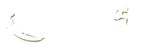 Cafe of India